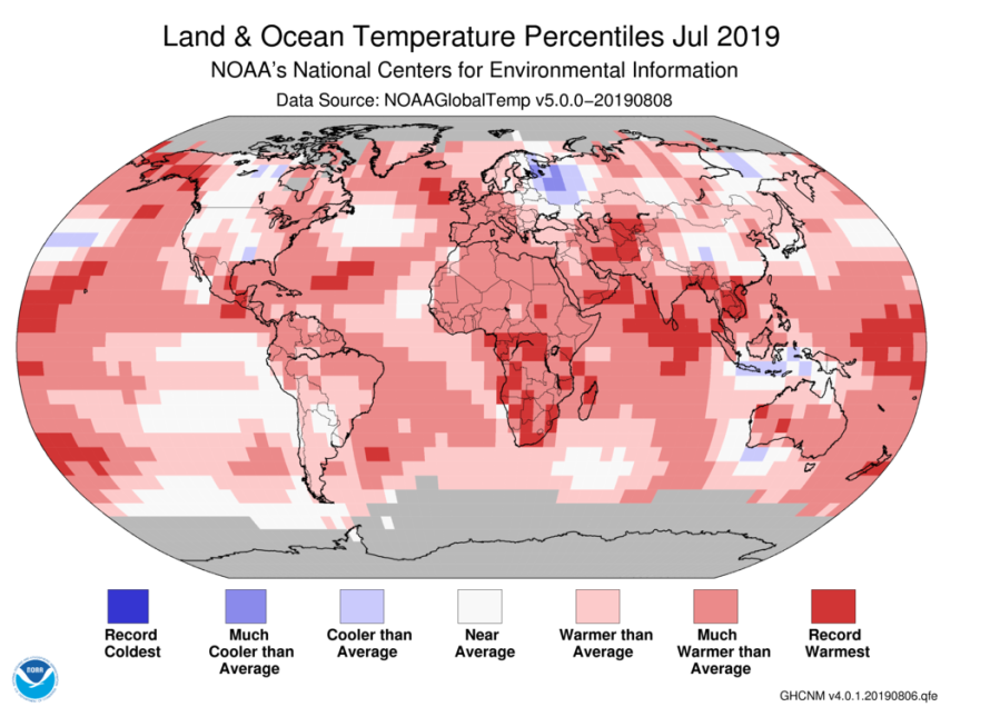 NOAA says July 2019 is the hottest month ever recorded