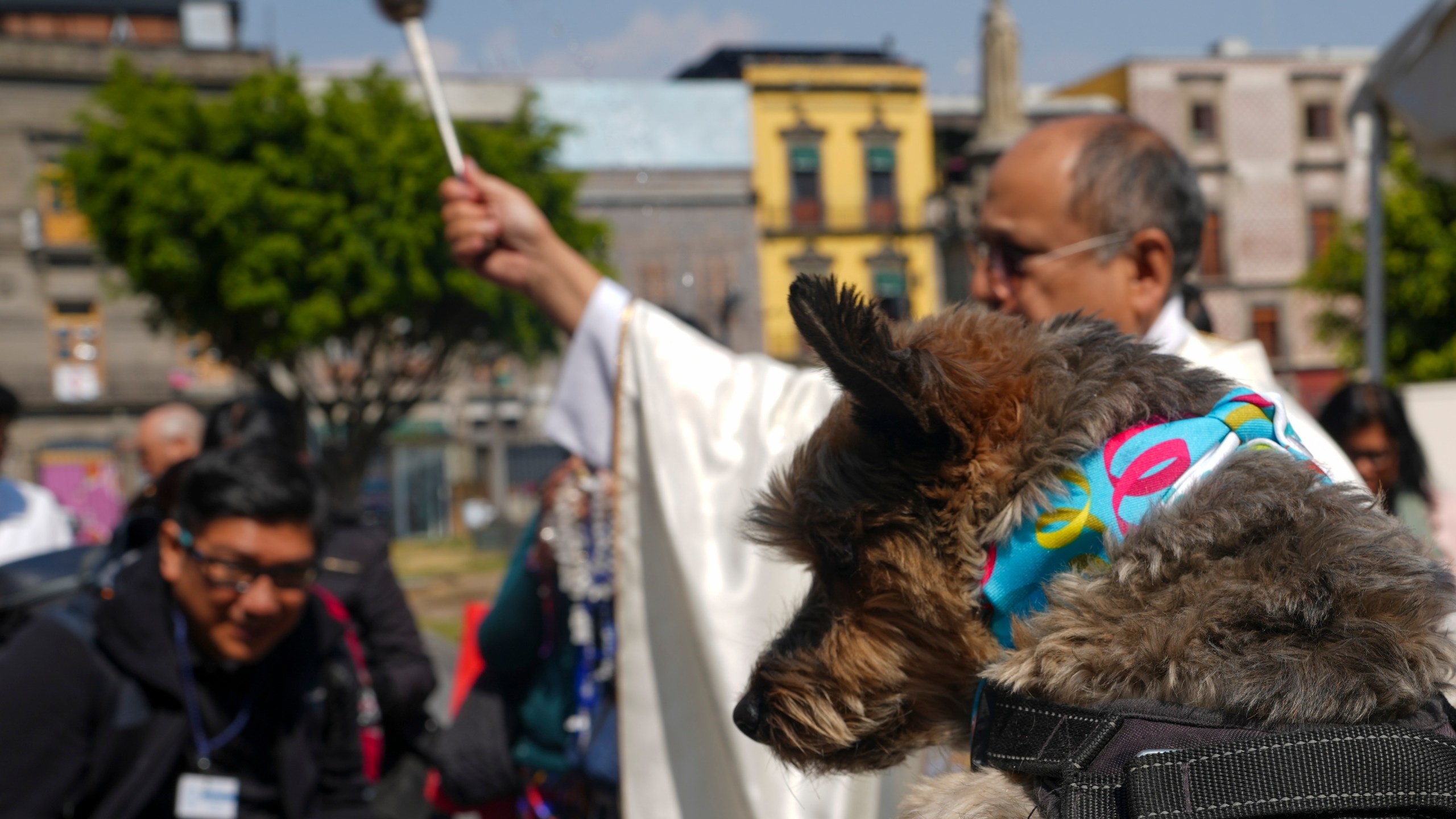 Rev. José Antonio Carballo, rector of the Metropolitan Cathedral, celebrates the annual blessing of the animals Mass at Mexico City's Metropolitan Cathedral, Friday, Jan. 17, 2025. (AP Photo/Marco Ugarte)